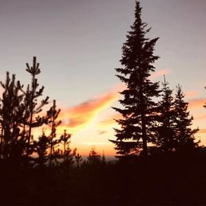 Meet your Posher, June